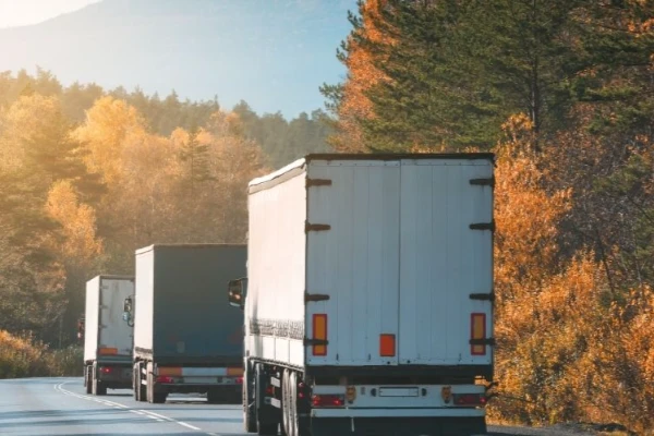 Adana Karatay Nakliyat